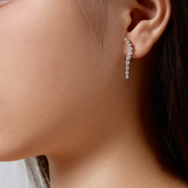 S925 Sterling Silver Zircon Tassel Earrings for Women