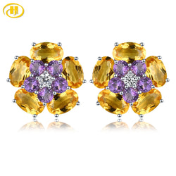 Sterling Silver Citrine Amethyst 5.5 ctw Stud Earrings for Women