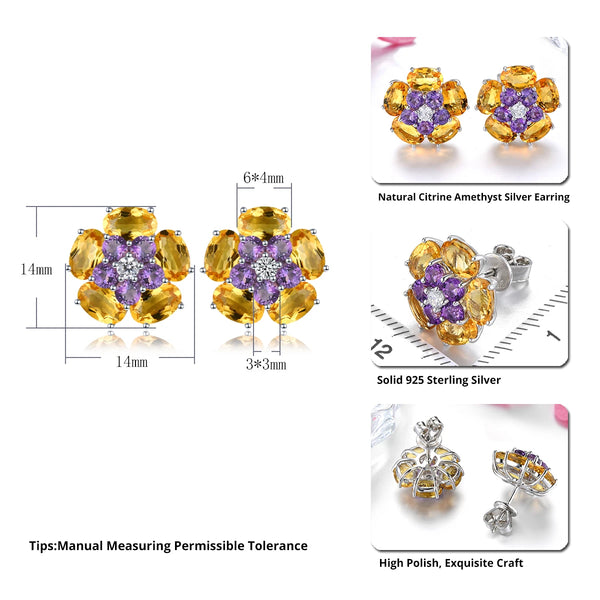 Sterling Silver Citrine Amethyst 5.5 ctw Stud Earrings for Women