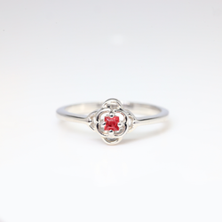 Tanzania Ruby WG Ring