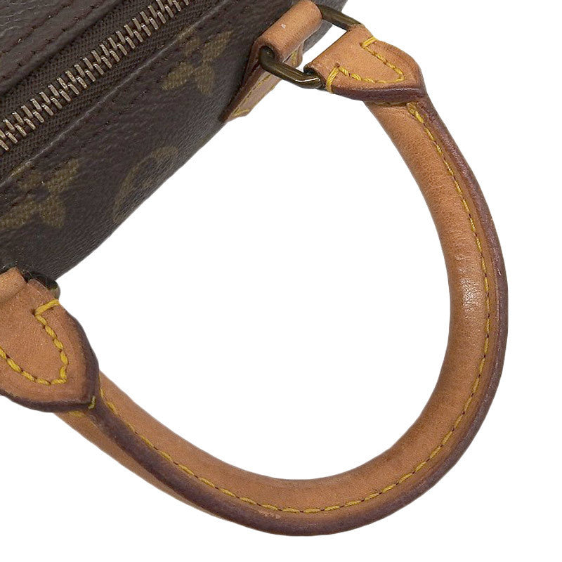 Louis Vuitton Monogram Handbag Monogram