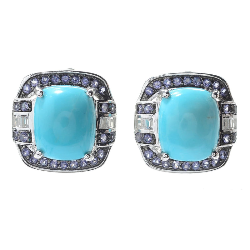 Brand New Kingman Turquoise Earring