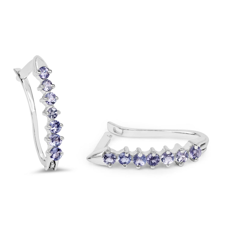 0.98 Carat Genuine Tanzanite .925 Sterling Silver Earrings