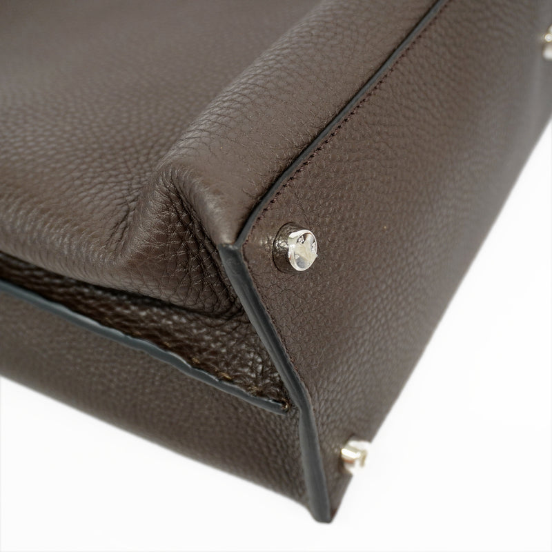 Auth Fendi 2WAY bag Peek-a-boo leather brown silver metal