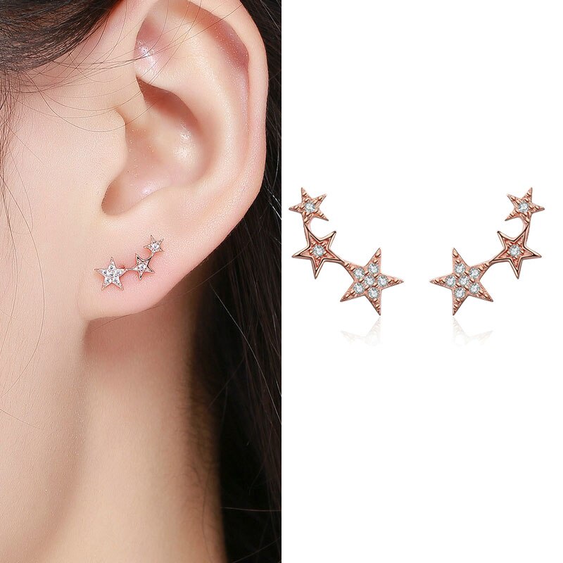 Trendy 925 Sterling Silver Feather Rose Flower Star Stud Earrings