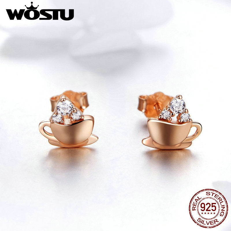 Sterling Silver Zircon Stud Earrings for Women