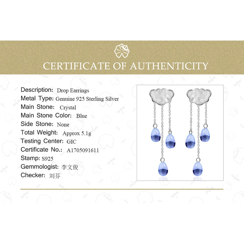 Sterling Silver Crystal Charm Drop Earrings for Women